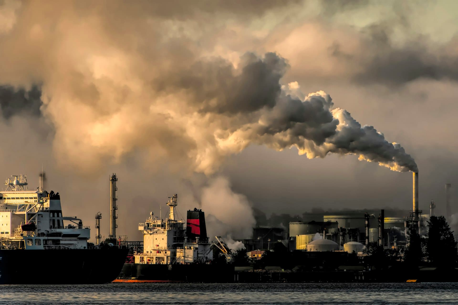 Petrochemicals